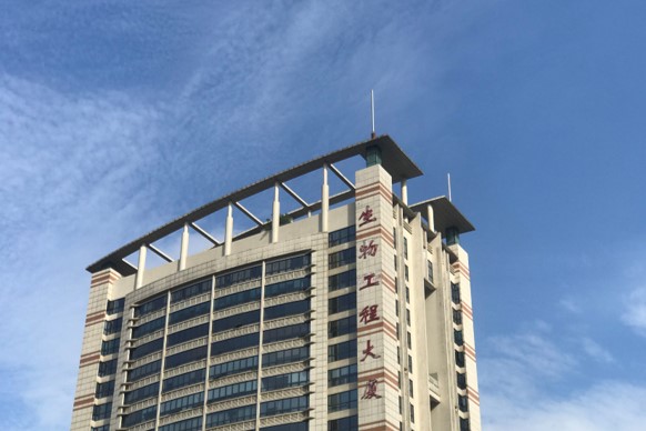 澳门太阳城