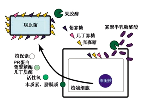 澳门太阳城
