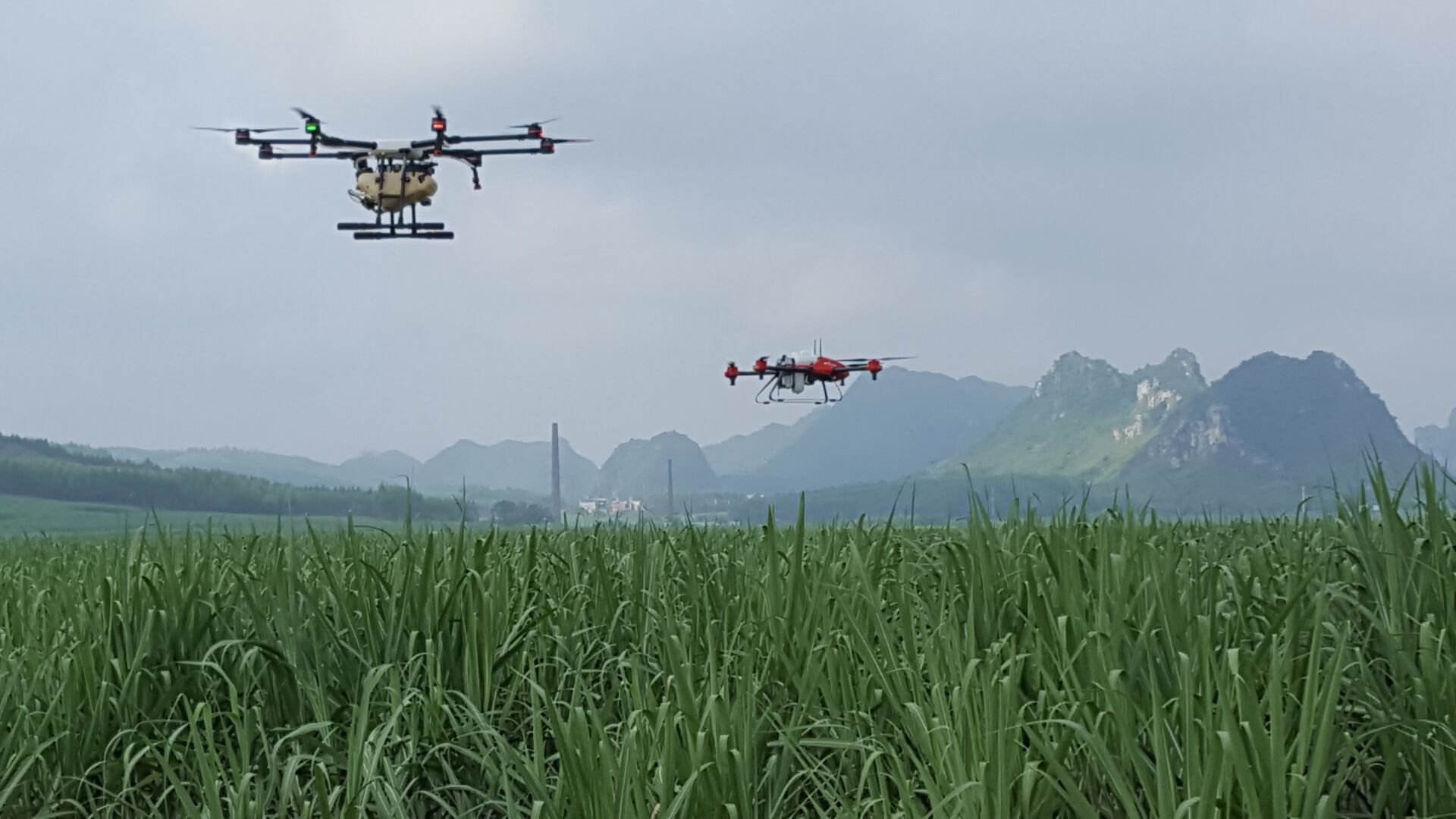 澳门太阳城