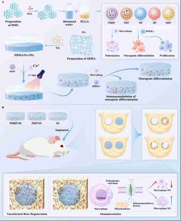 澳门太阳城