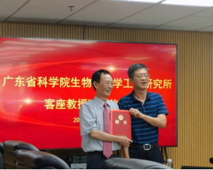 澳门太阳城