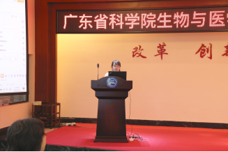 澳门太阳城