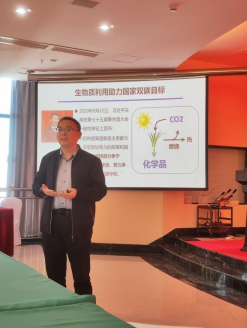 澳门太阳城