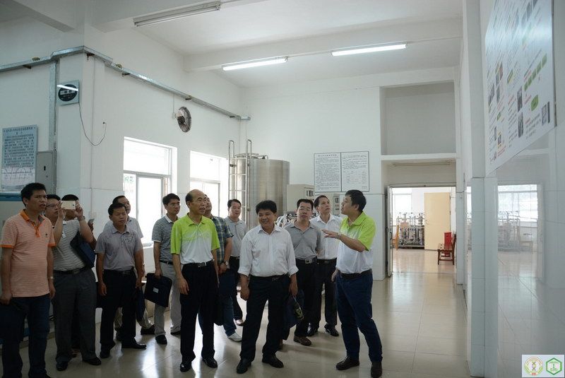 澳门太阳城