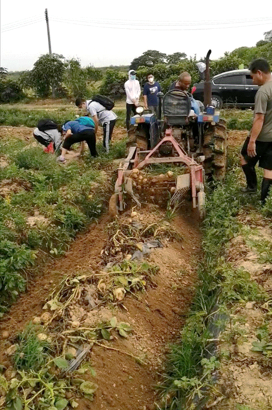澳门太阳城