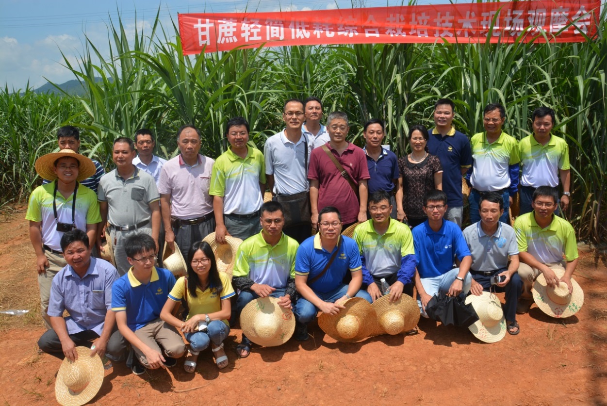 1.jpg 澳门太阳城
