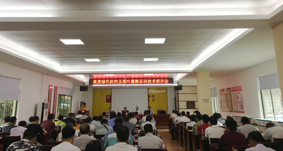 澳门太阳城