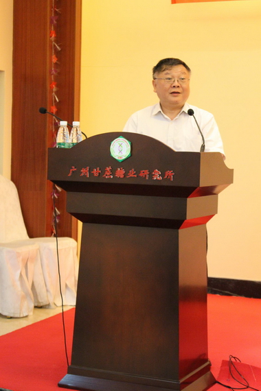 澳门太阳城