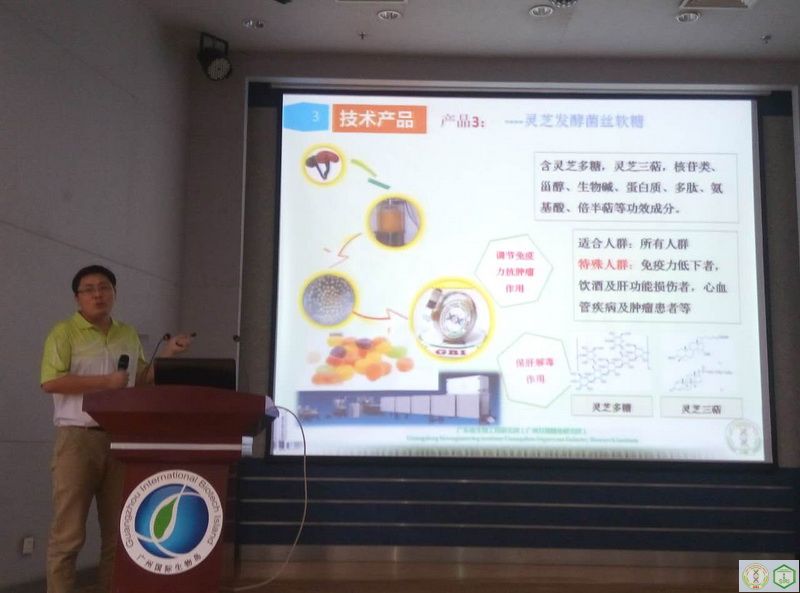 澳门太阳城