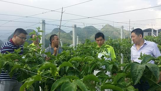 clip_image002.jpg 澳门太阳城