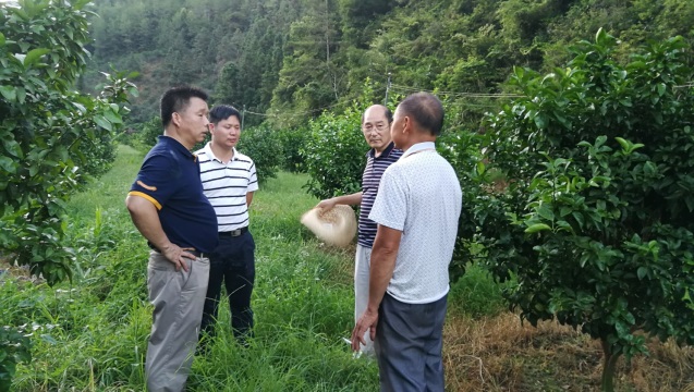 澳门太阳城