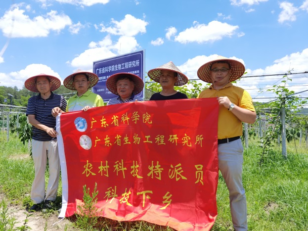 澳门太阳城