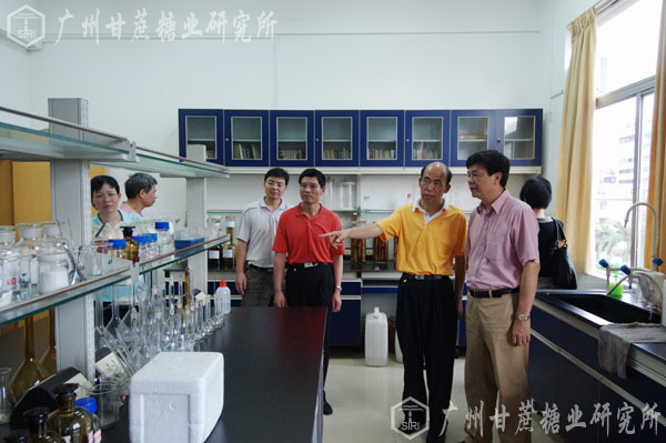 澳门太阳城