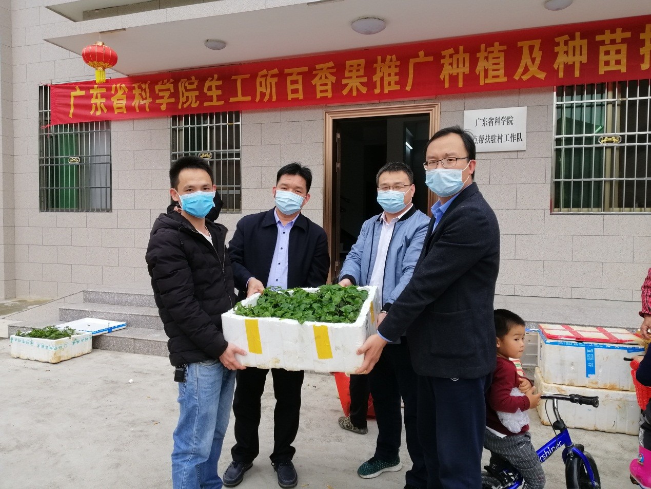 澳门太阳城