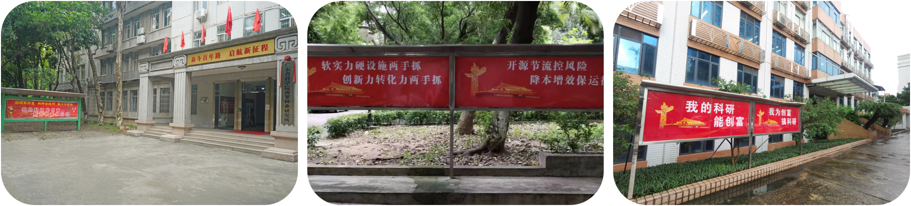 澳门太阳城