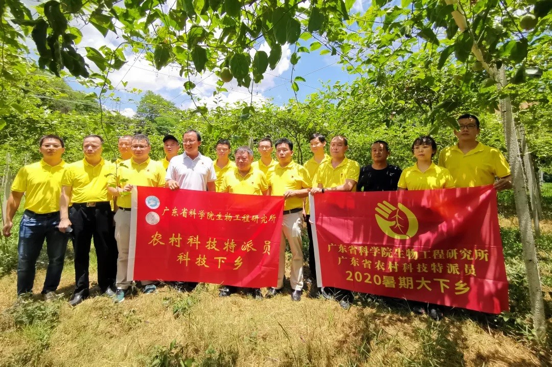 澳门太阳城