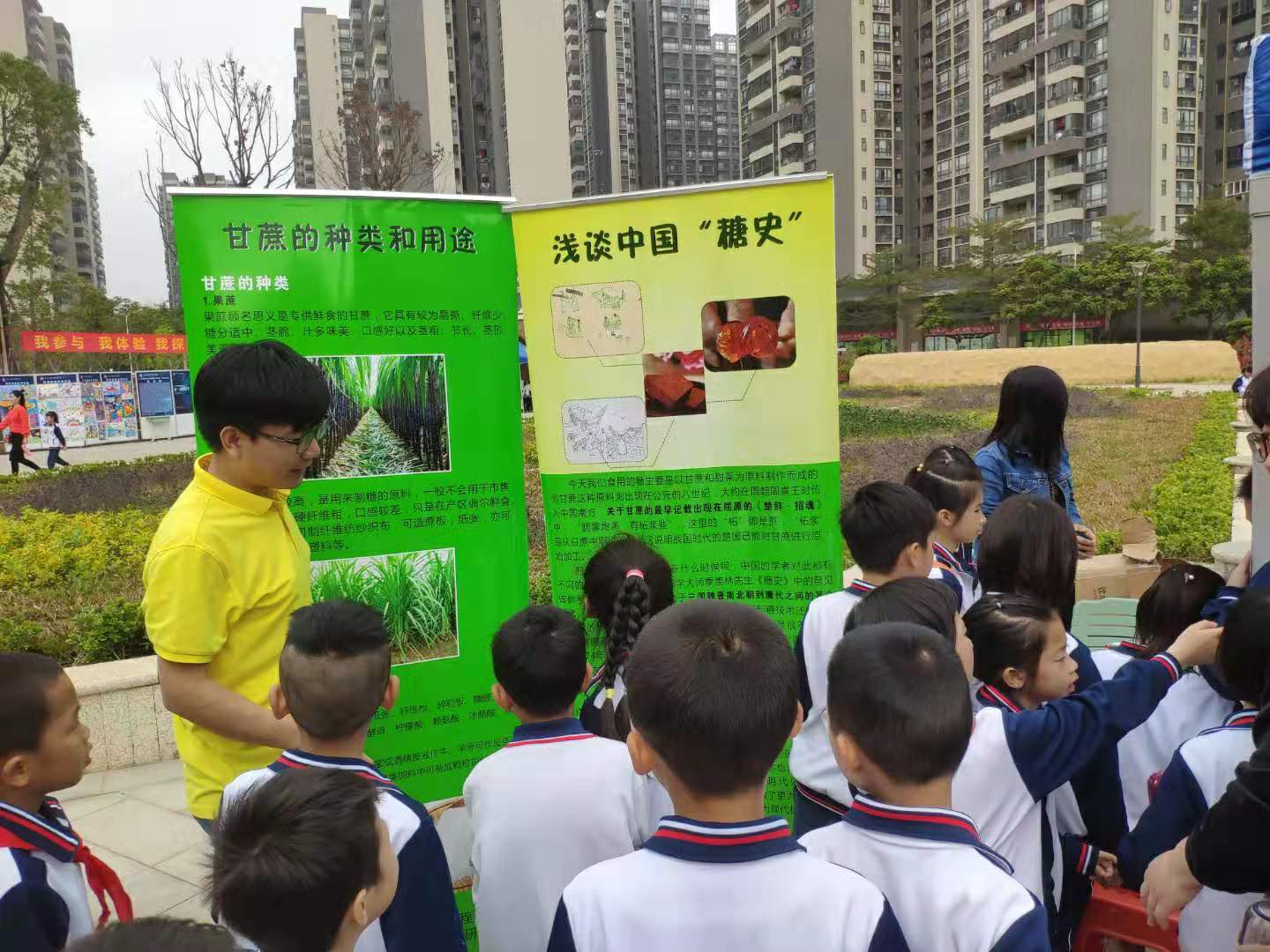 澳门太阳城