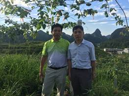 澳门太阳城
