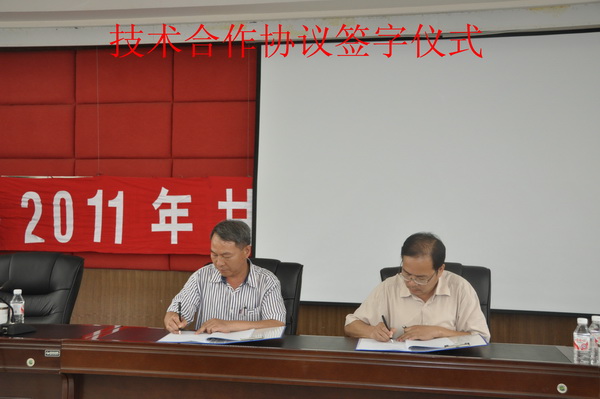 澳门太阳城