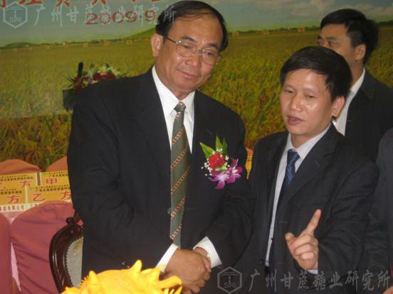 澳门太阳城