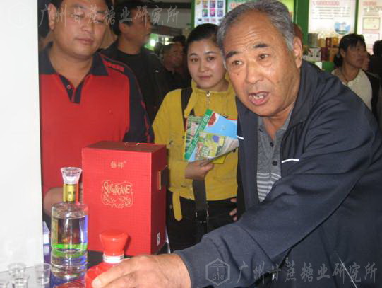 澳门太阳城