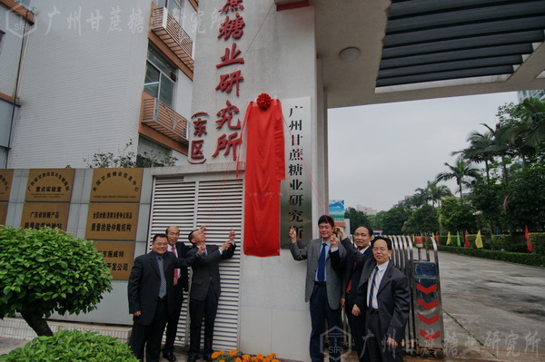 澳门太阳城