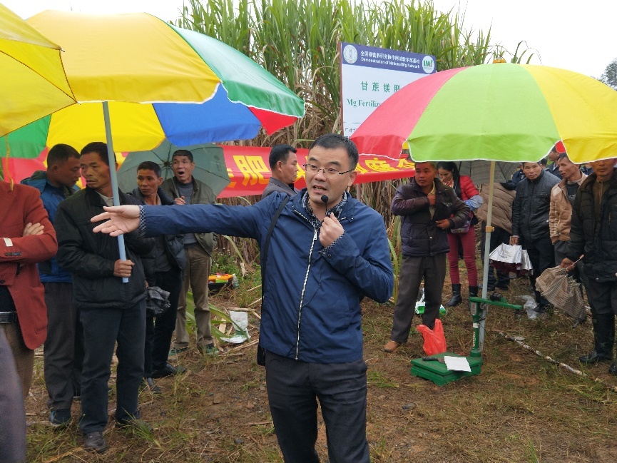 澳门太阳城