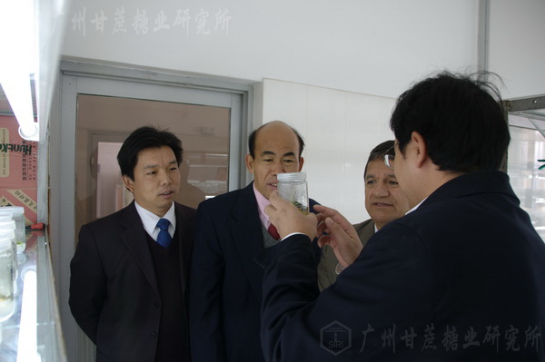 澳门太阳城