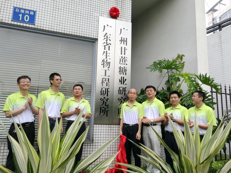 澳门太阳城