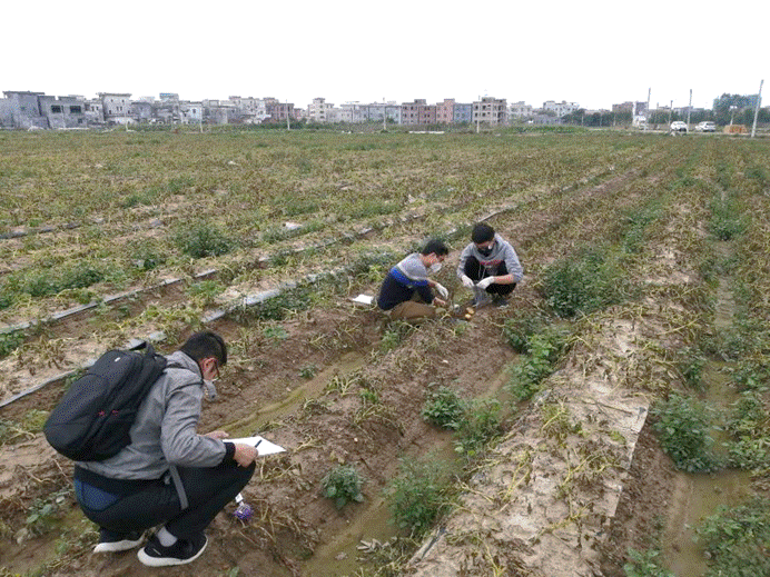 澳门太阳城