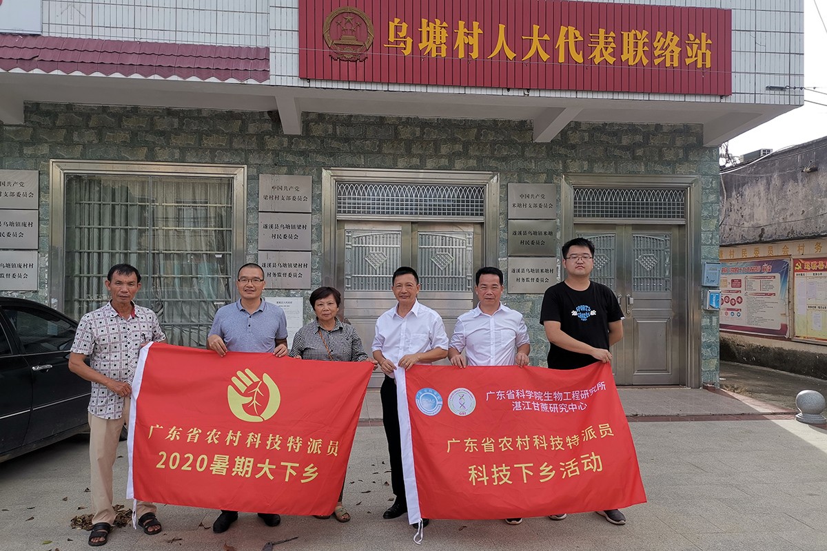 澳门太阳城