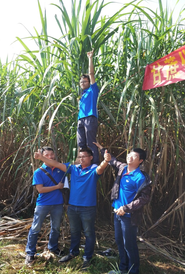 2222.jpg 澳门太阳城