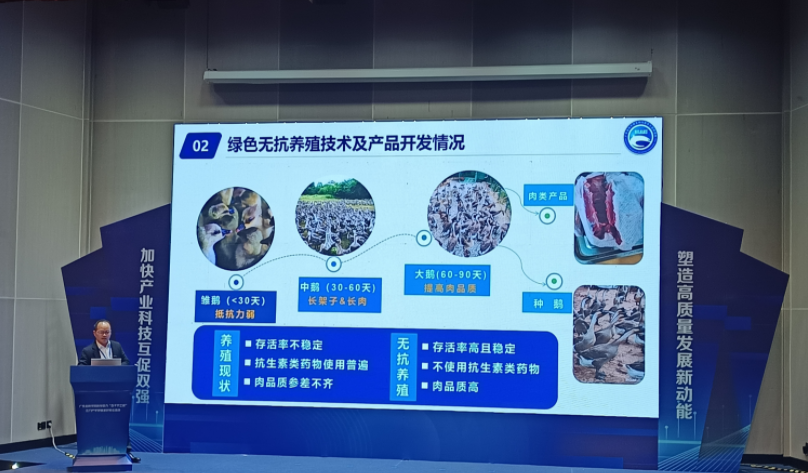 澳门太阳城
