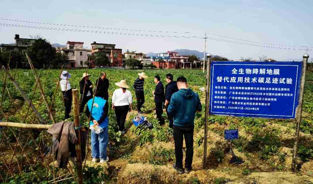 澳门太阳城