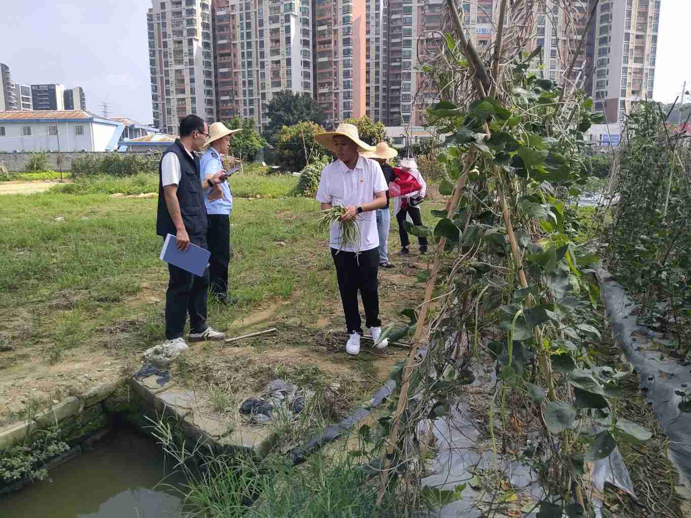 澳门太阳城