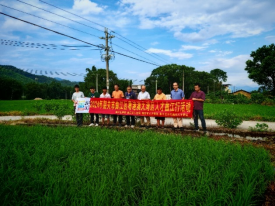 澳门太阳城