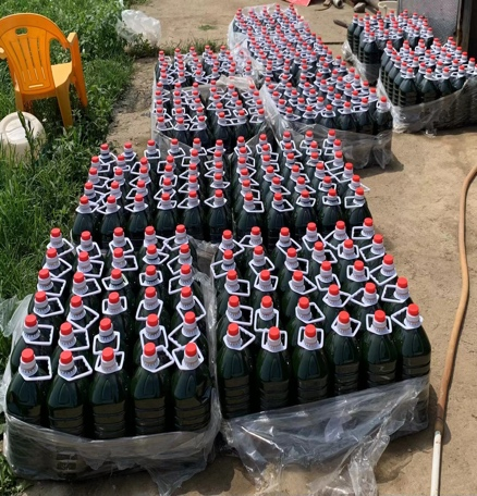 澳门太阳城
