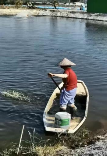 澳门太阳城