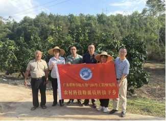 澳门太阳城