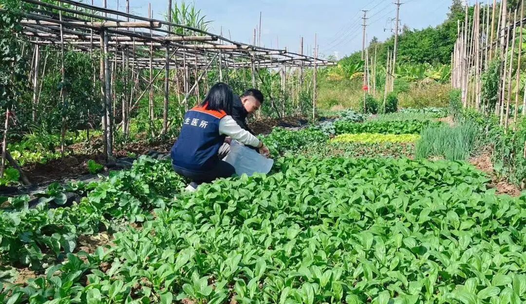 澳门太阳城